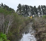 Municipios santafesinos activan planes preventivos ante la llegada de 
