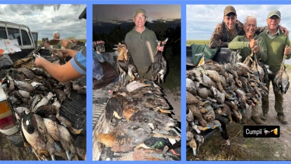 Masacre de fauna en el norte santafesino: investigan la caza ilegal de más de 300 animales