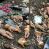 Macabro hallazgo en Villa Gobernador Gálvez: fotos de niñas y muñecos de bebés en una reserva natural