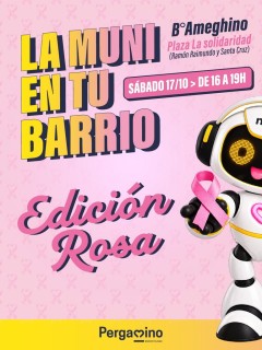 La Muni en Tu Barrio presenta Edición Rosa en Ameghino